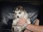 pup1