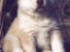 pastPup4