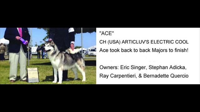 ace_news