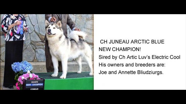 juneau