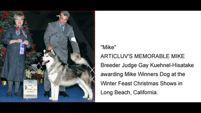 mike_news