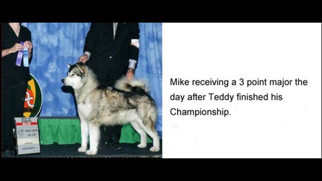 mike_News_major