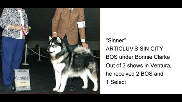 sinner_ventura