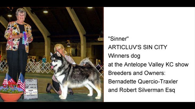 sinner_wd_avkc