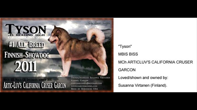 tyson_news