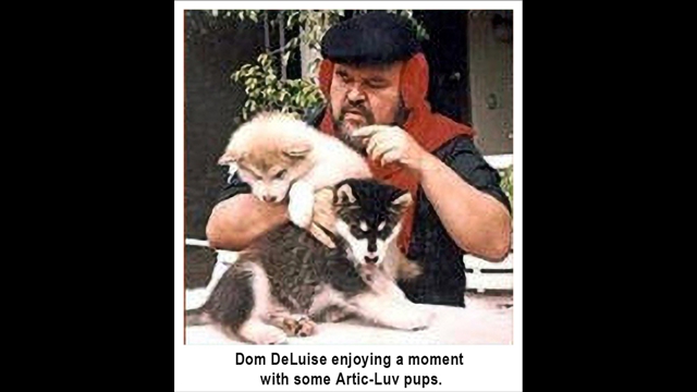domDeLuise_mal copy