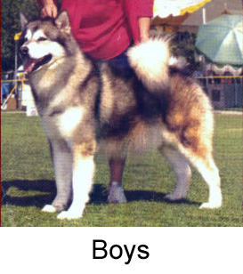 boys