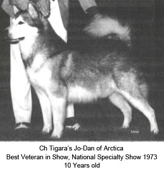 TigaraJoDAn