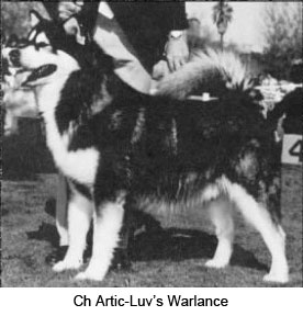 warlance